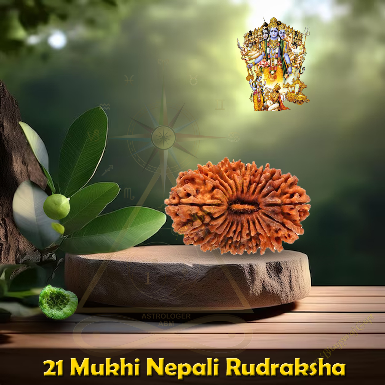 21 Mukhi Nepal Rudraksha 