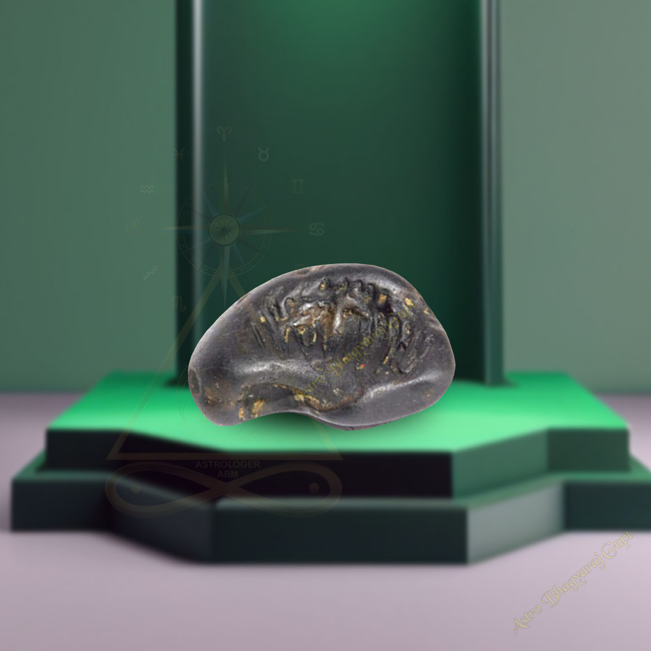 Sidh Shaligram