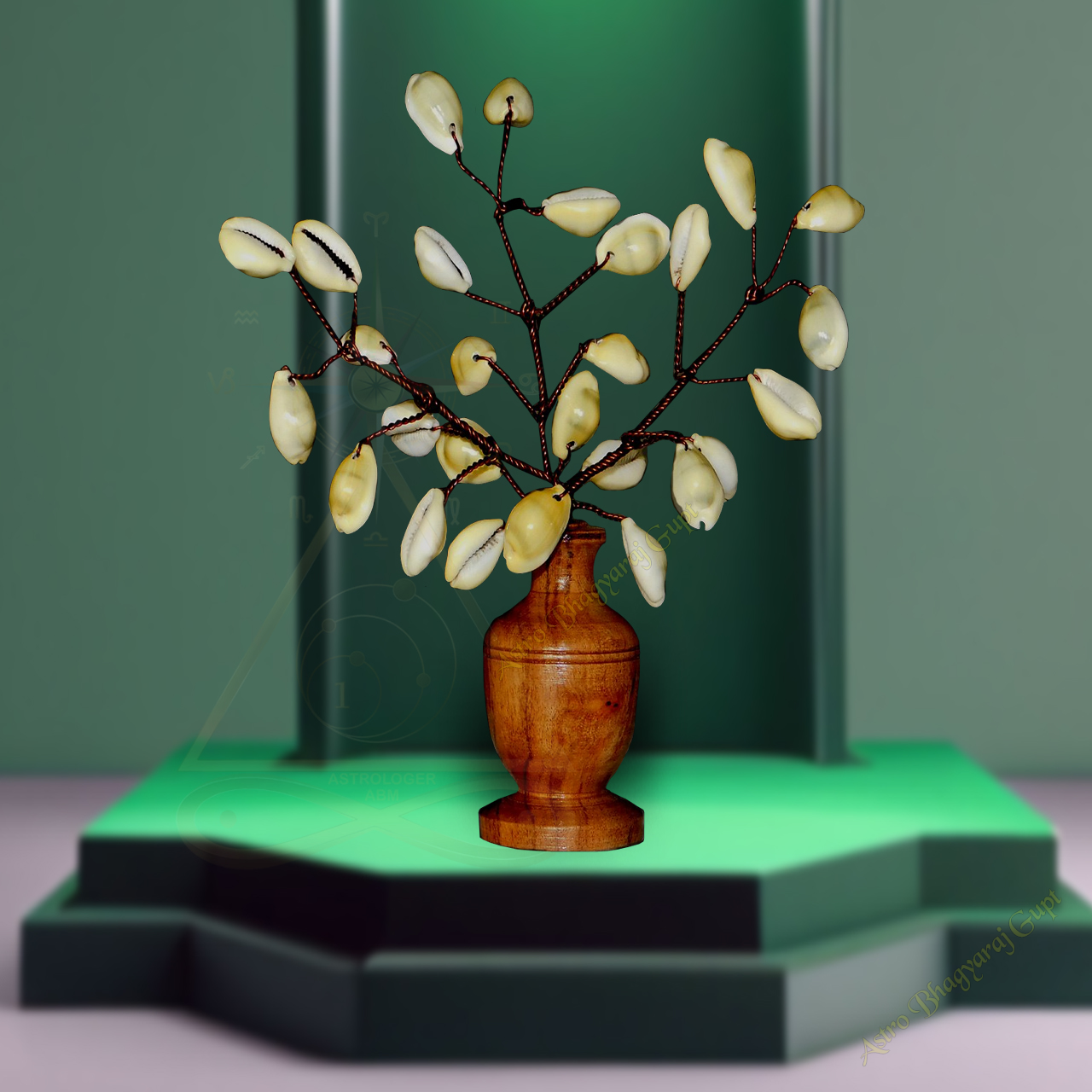 Pili Kodi Tree 