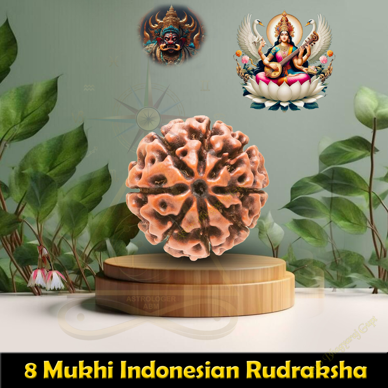 8 Face Natural Indonesia Rudraksha 