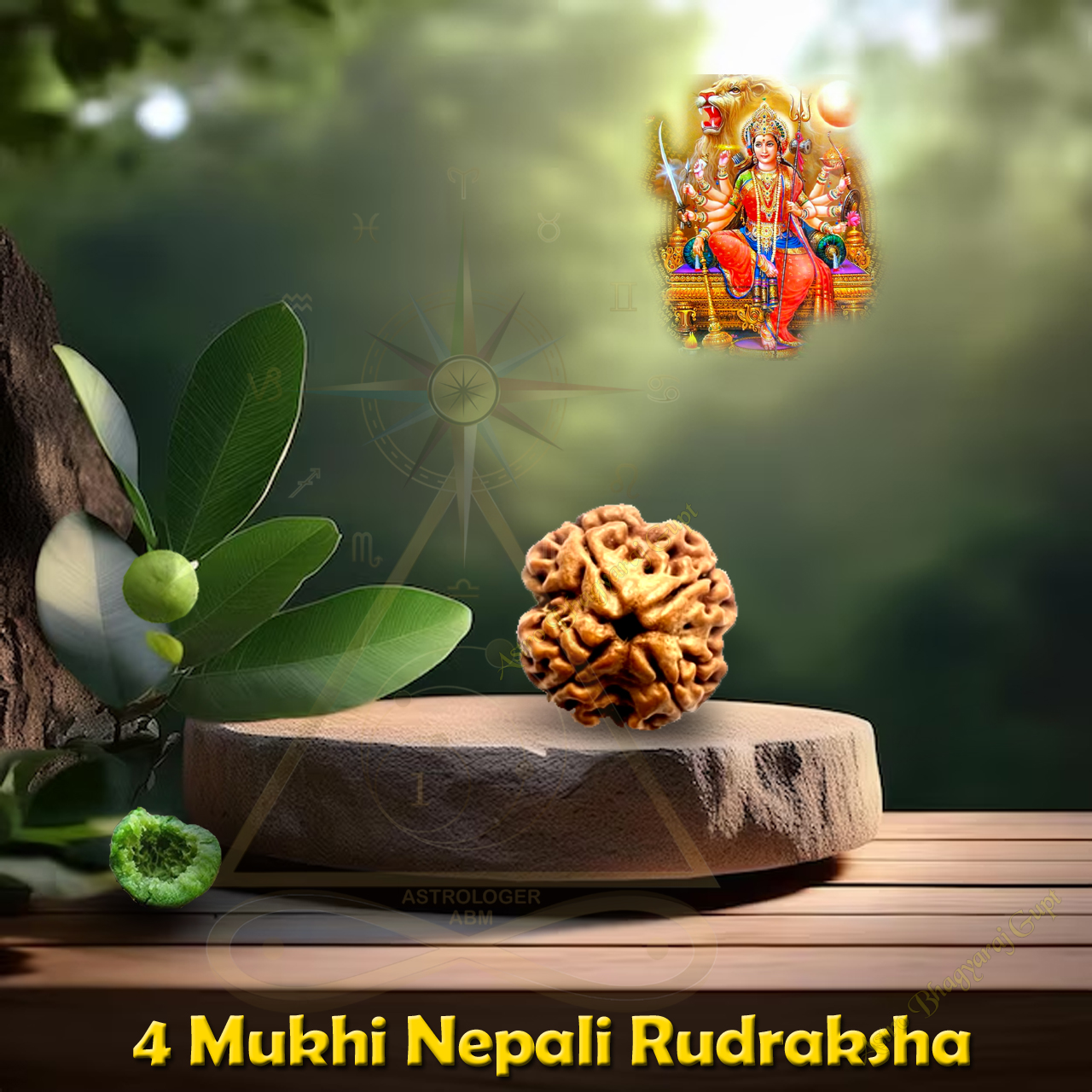4 Face Natural Nepal Rudraksha 16-17 mm