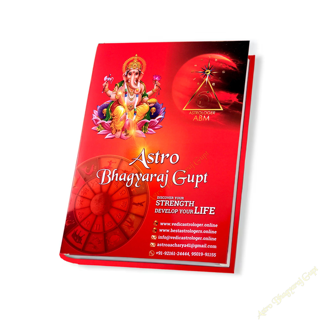 Horoscope, Personalize Report