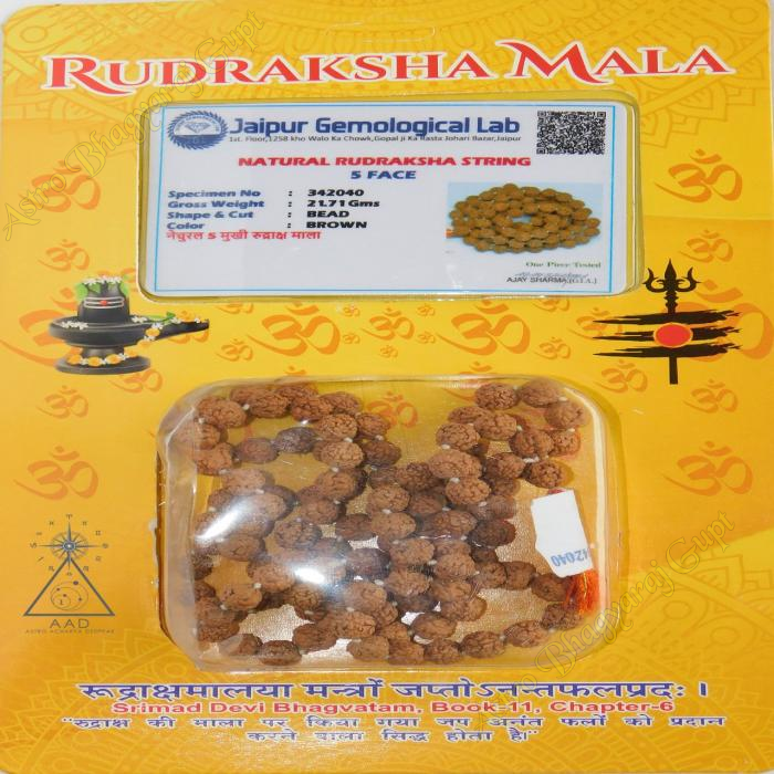 Natural Five mukhi Rudraksha Mala