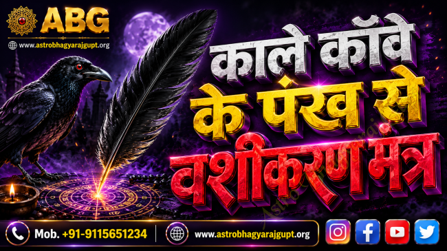 Black crow feather used in a traditional Tantra ritual for Vashikaran practices.