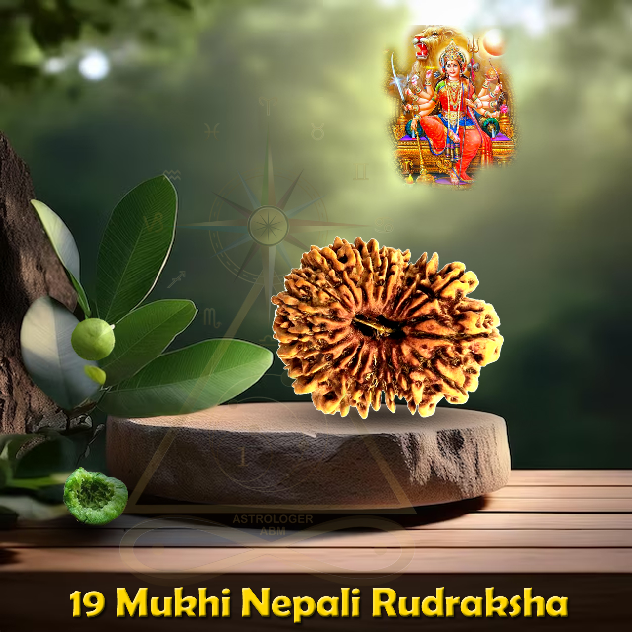 19 Face Nepal Rudraksha