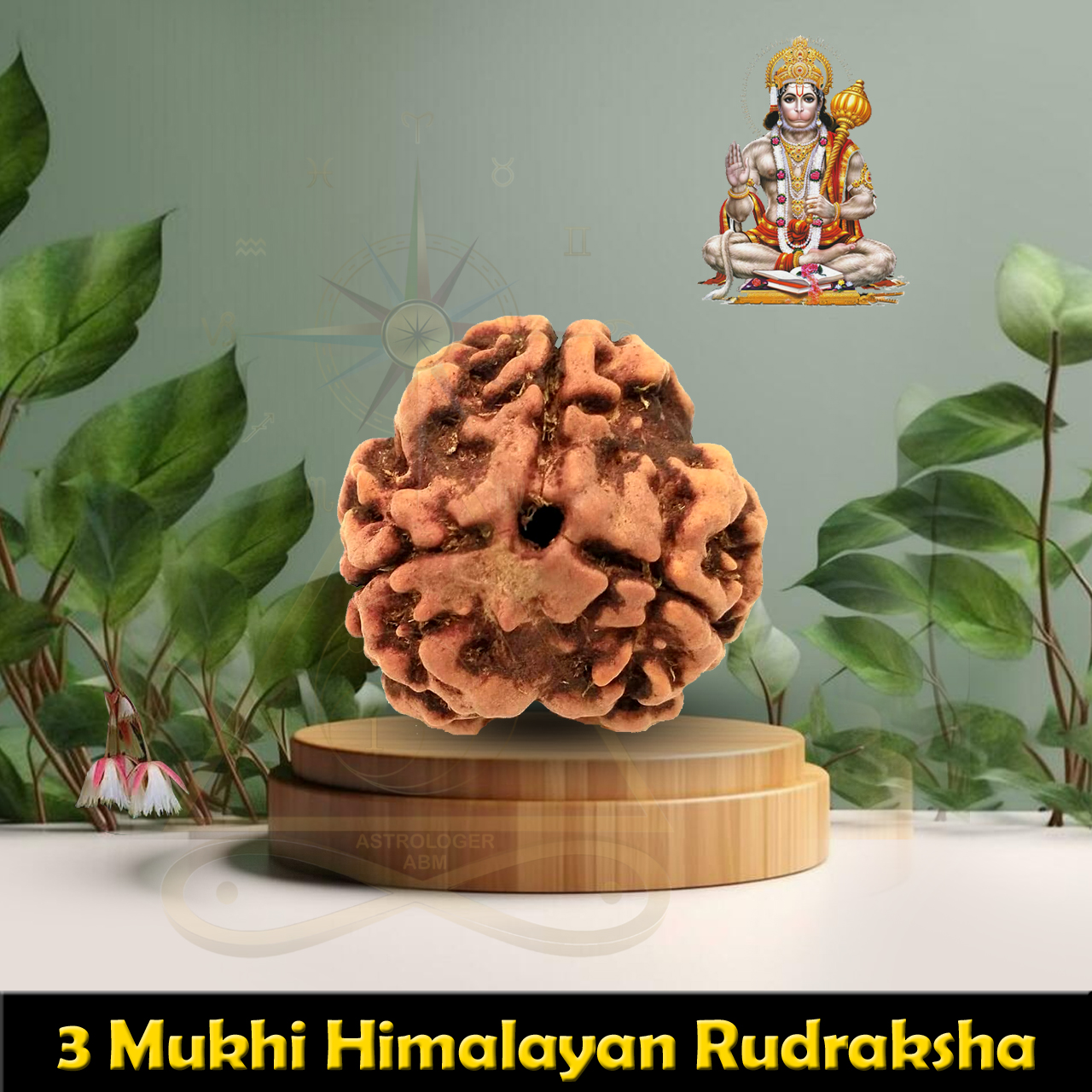 3 Face Natural himalayan Rudraksha