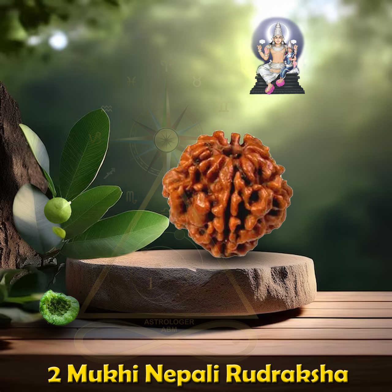 2 Face Natural Nepal Rudraksha Round Shape