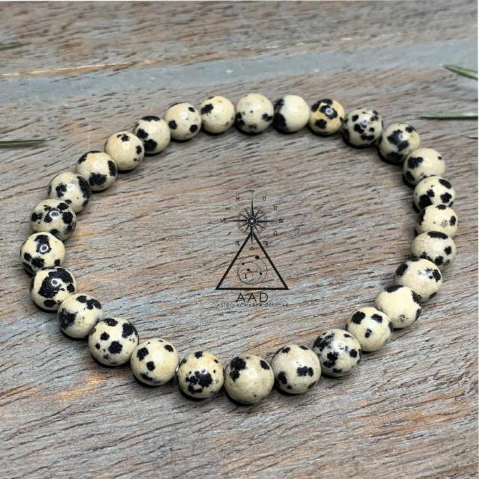 Dalmatian Jasper Jewelry